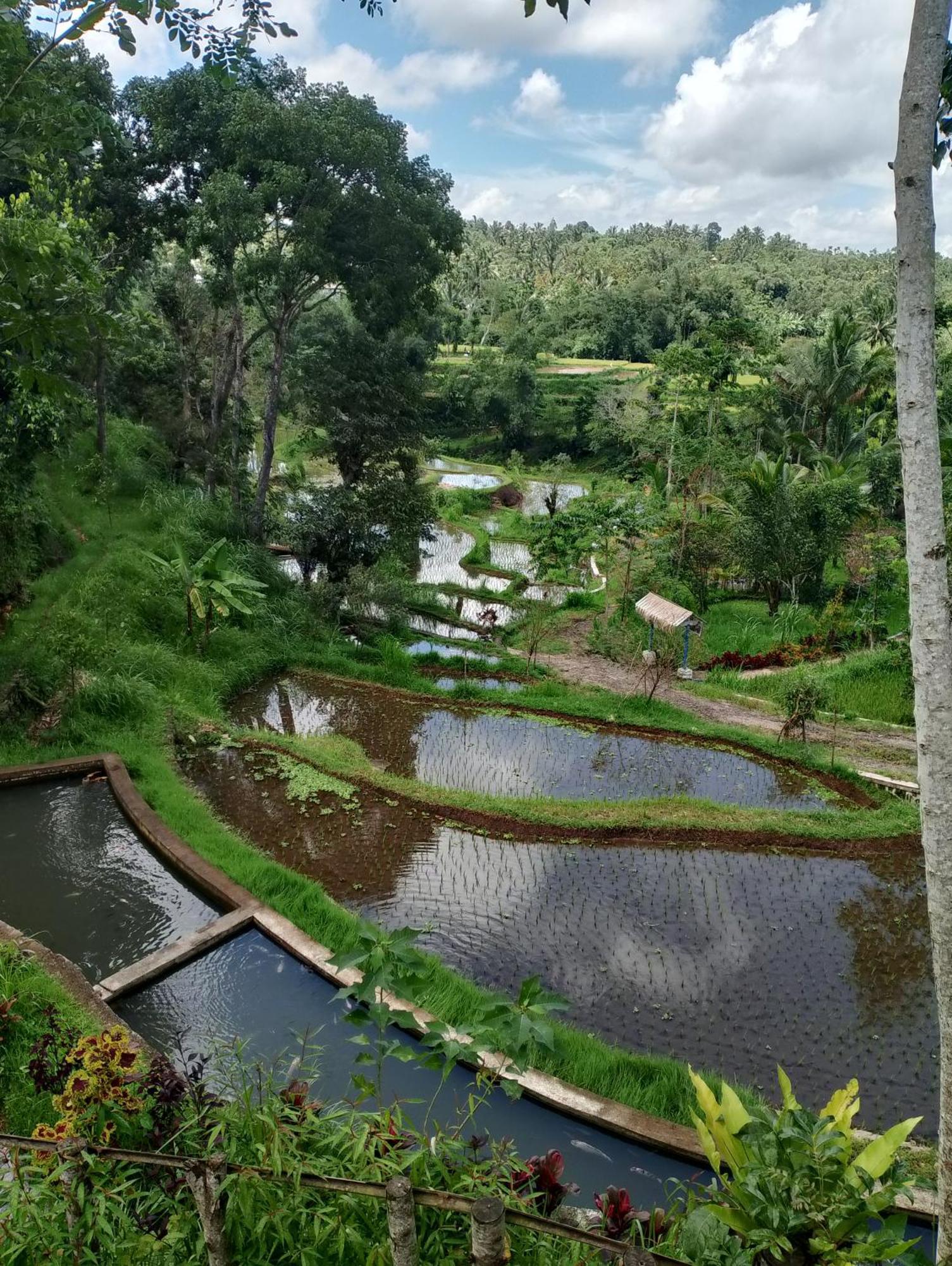 The Alam Tetebatu Bungalow & Restaurant Eksteriør bilde