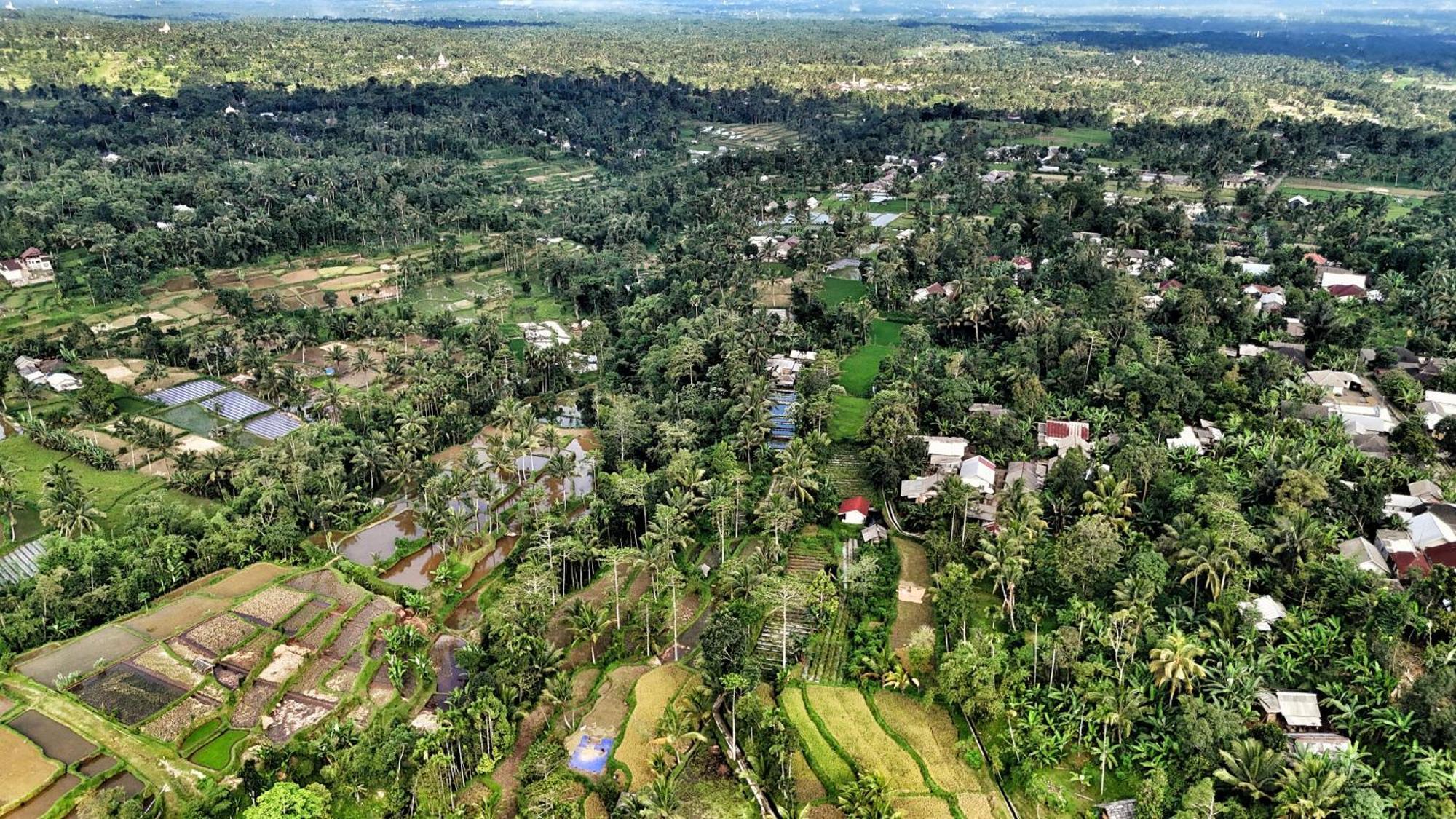The Alam Tetebatu Bungalow & Restaurant Eksteriør bilde