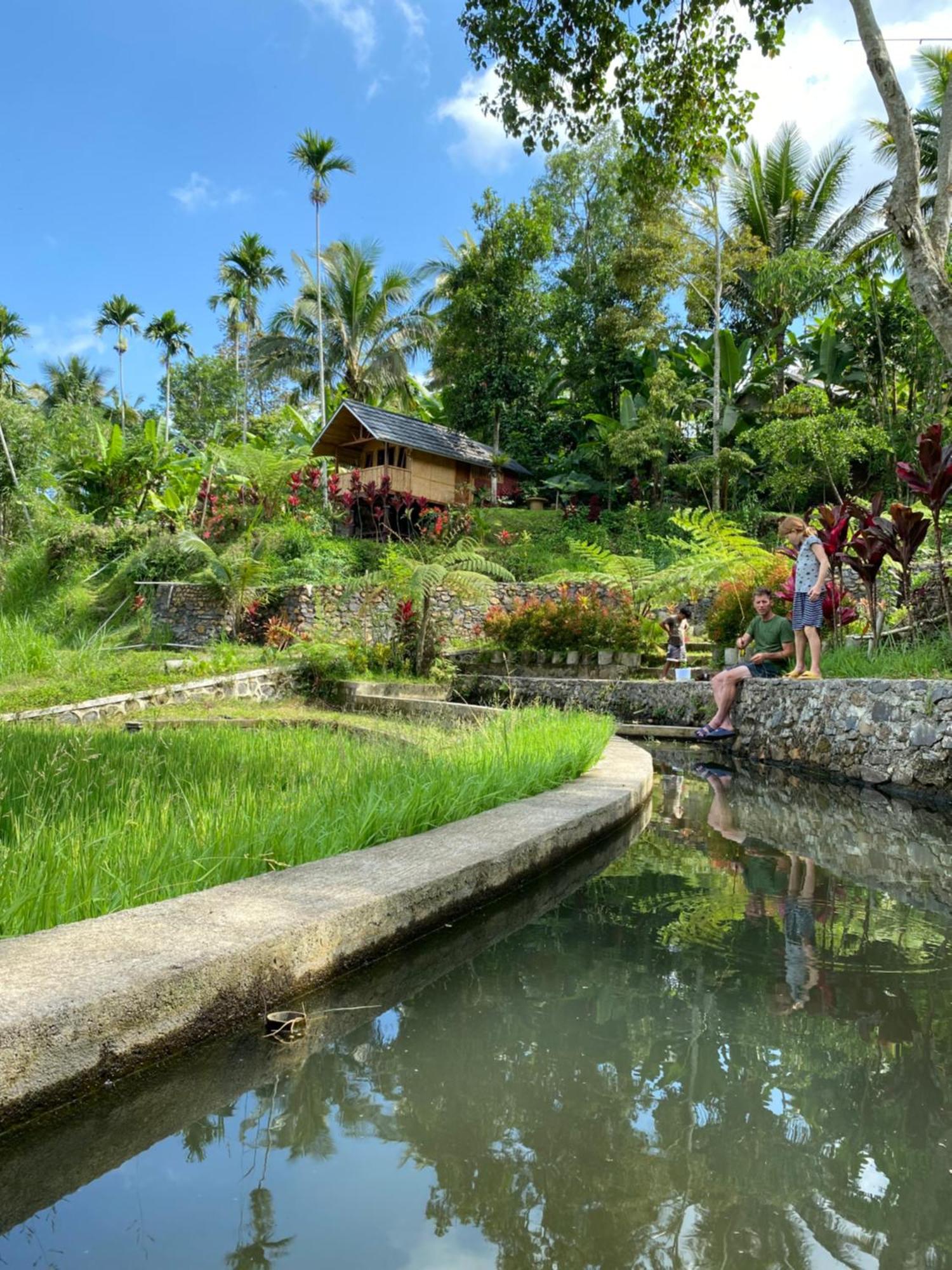 The Alam Tetebatu Bungalow & Restaurant Eksteriør bilde